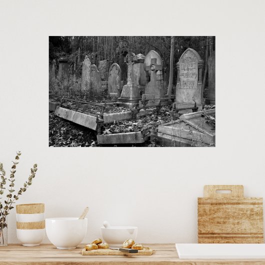 ArnosVale4 Poster (Keuken)