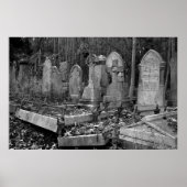 ArnosVale4 Poster (Voorkant)