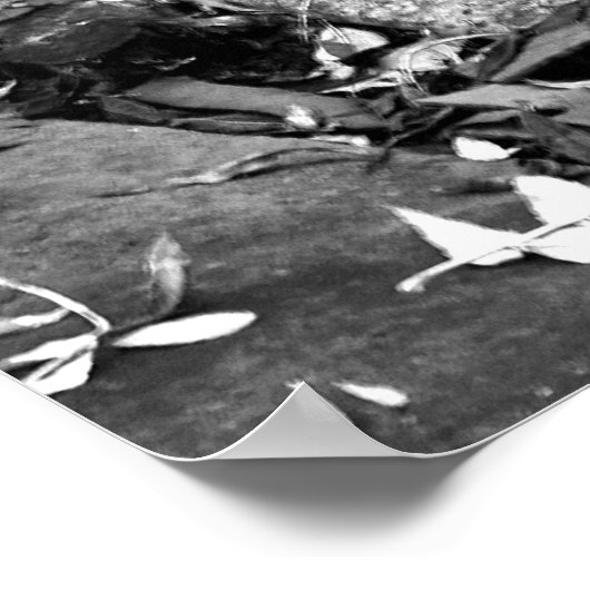 ArnosVale7 Poster (Hoek)