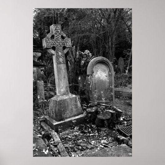 ArnosVale7 Poster (Voorkant)