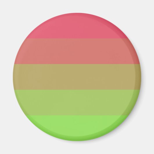 Aroflux Pride Vlag Magneet (Voorkant)