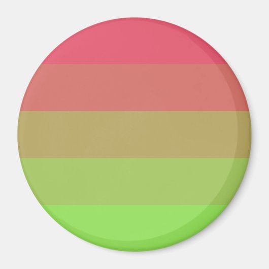 Aroflux Pride-vlag Magneet (Voorkant)