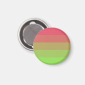 Aroflux Pride Vlag Magneet (Voorkant / Achterkant)