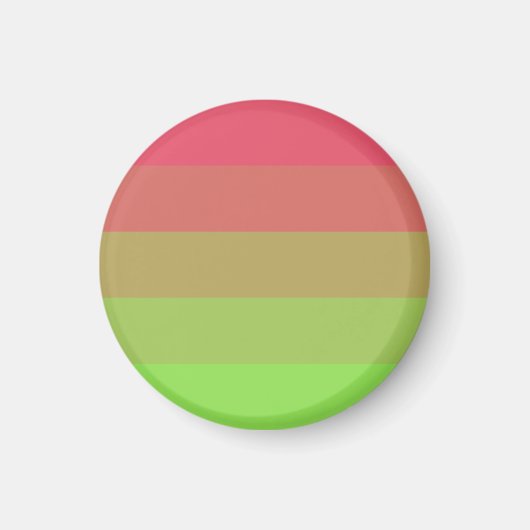 Aroflux Pride Vlag Magneet (Voorkant)