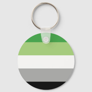 Aromantic Flag Button Sleutelhanger