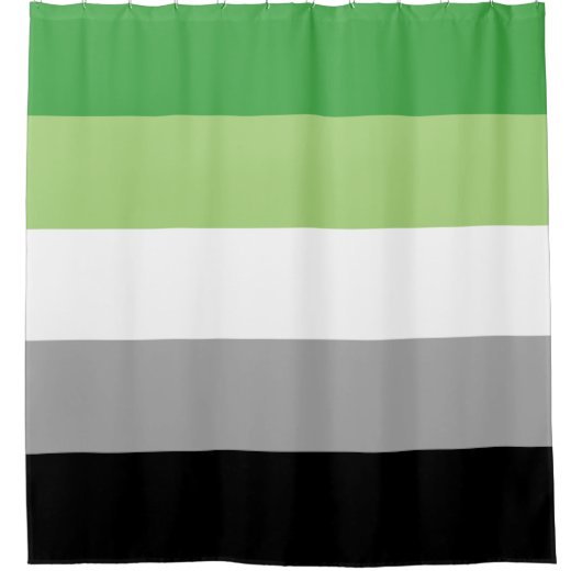 Aromantic Flag Douchegordijn (Voorkant)