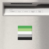 Aromantic Pride Flag Magneet (Insitu (Vaatwasser))