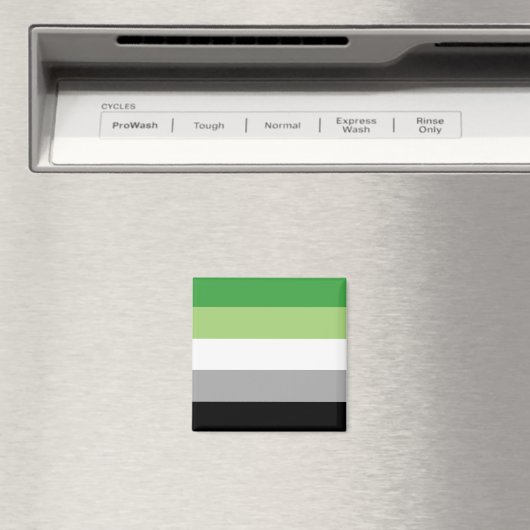 Aromantic Pride Flag Magneet (Insitu (Vaatwasser))