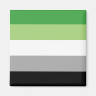 Aromantic Pride Flag Magneet