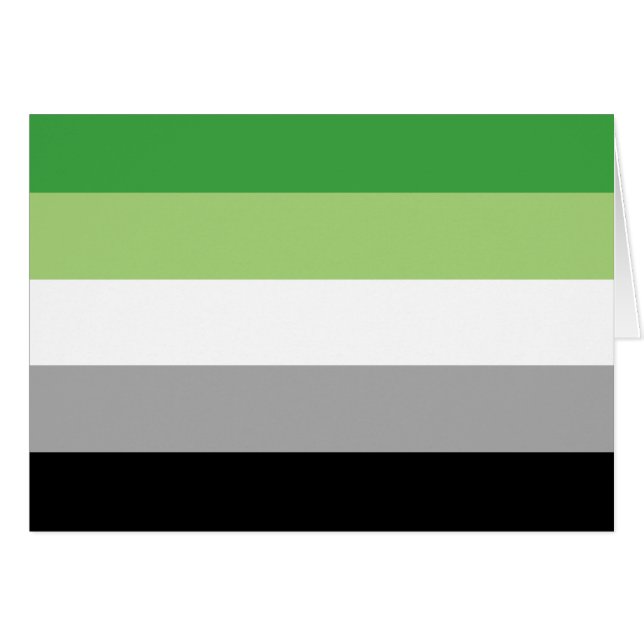 Aromantische Pride Strepen (Voorkant Horizontaal)