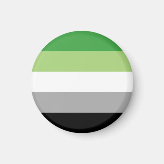 Aromantische Pride Strepen Magneet (Voorkant)