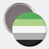 Aromantische Pride Strepen Magneet (Voorkant / Achterkant)