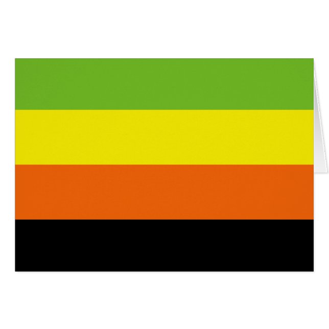 Aromantische Pride-vlag (Voorkant Horizontaal)