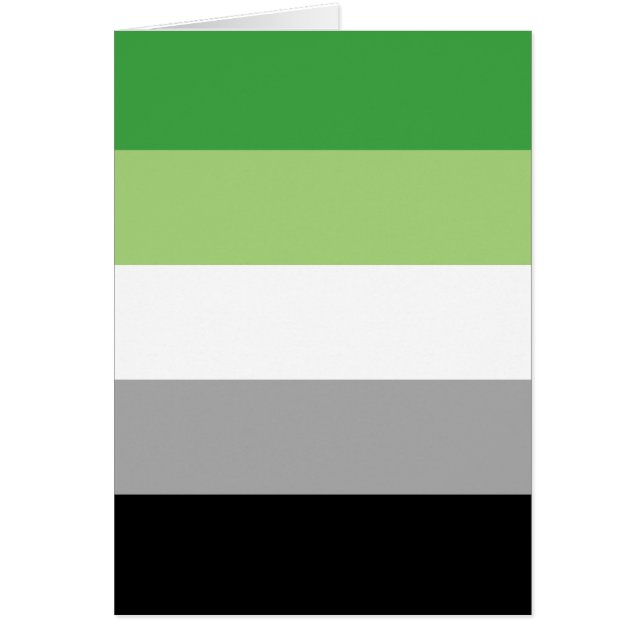 Aromantische Pride Vlag LGBTQ (Voorkant)