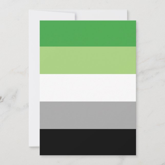 Aromantische Pride Vlag LGBTQ (Voorkant)