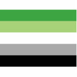 Aromantische Pride Vlag LGBTQ Staand Fotobeeldje<br><div class="desc">Aromantische Pride Flag geschenken en merch. Grote LGBTQ trots vlag patroon voor aromantics.</div>