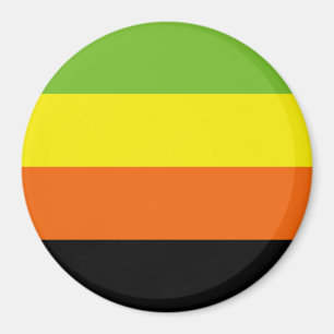 Aromantische Pride-vlag Magneet