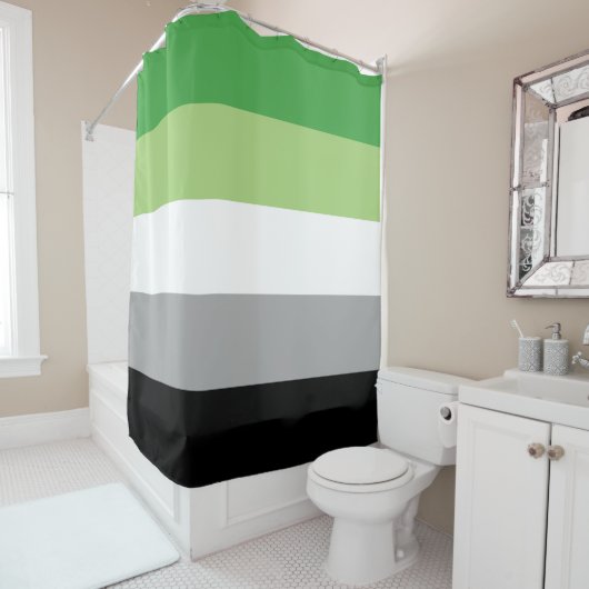 Aromantische Vlag Douchegordijn (In situ)