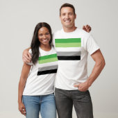 Aromantische vlag t-shirt (Unisex)