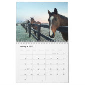 Arondel Equestrian 2021 Agenda Kalender (Jan 2027)