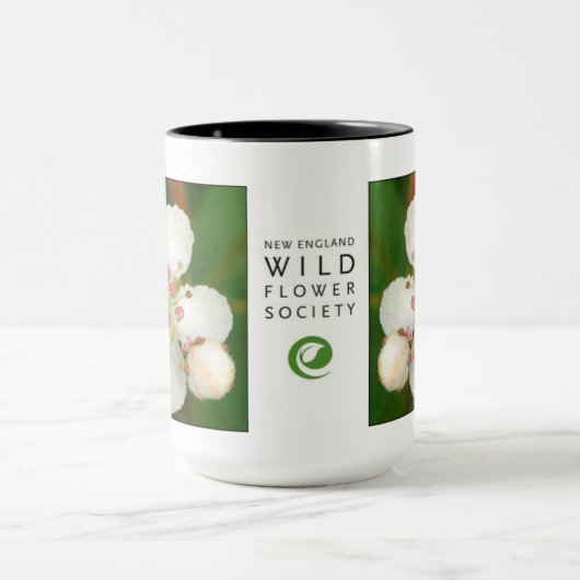 Aronia melanocarpa, zwarte chokeberry mok (Midden)