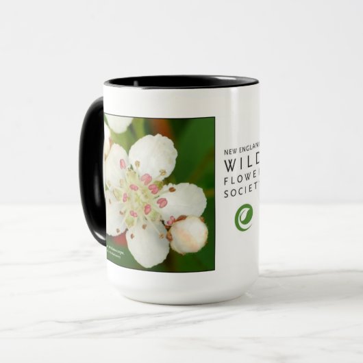 Aronia melanocarpa, zwarte chokeberry mok (Voorkant links)