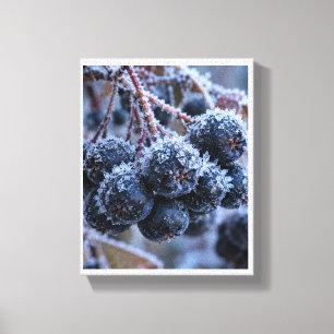 Aronia vorst macro canvas afdruk