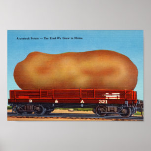 Aroostook Potato  Briefkaart afdrukken Poster