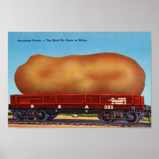 Aroostook Potato  Briefkaart afdrukken Poster (Voorkant)