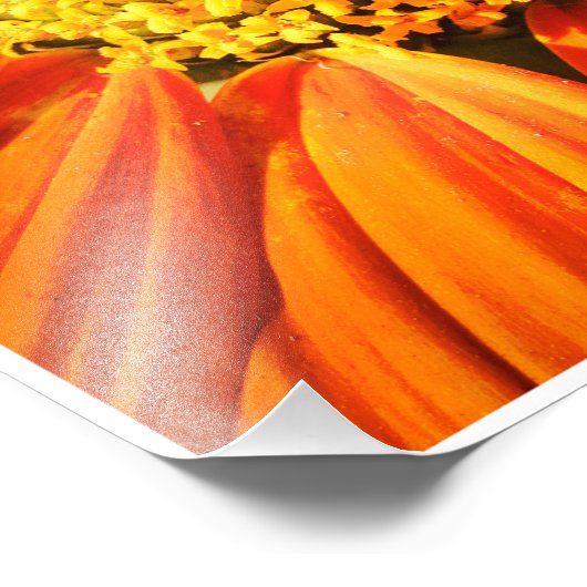 Around the Center Foto Afdruk (Hoek)