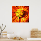 Around the Center Nature Photo Wall Art Print (Keuken)