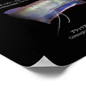 Arowanaた の ポ タ ー poster (Hoek)