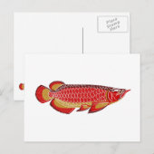 arowana briefkaart (Voorkant / Achterkant)