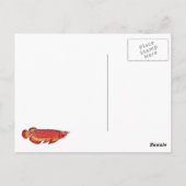 arowana briefkaart (Achterkant)
