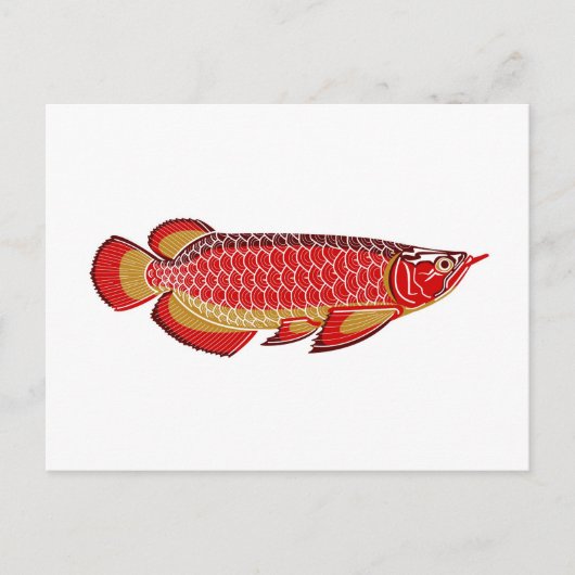 arowana briefkaart (Voorkant)