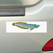 arowana bumper sticker (Op auto)