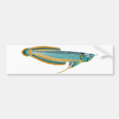 arowana bumper sticker (Voorkant)