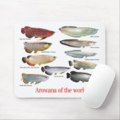 Arowana Muismat (Met muis)