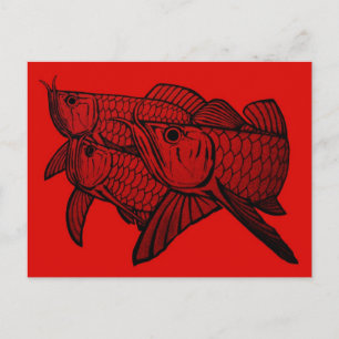 Arowana Post-kaart Briefkaart