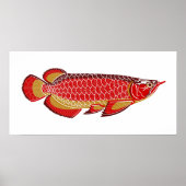 arowana poster (Voorkant)