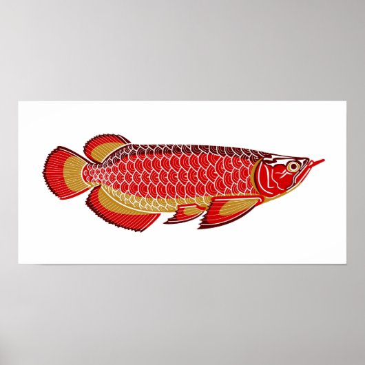 arowana poster (Voorkant)