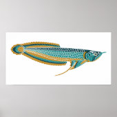 arowana poster (Voorkant)
