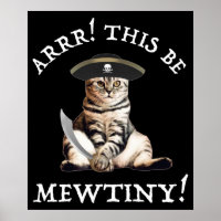 Arr. Dit is heel erg. Pirate Cat