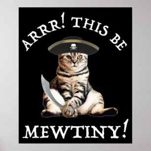 Arr. Dit is heel erg. Pirate Cat Poster