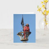 Arr Matey, gelukkige verjaardag Kaart (Gele Bloem)