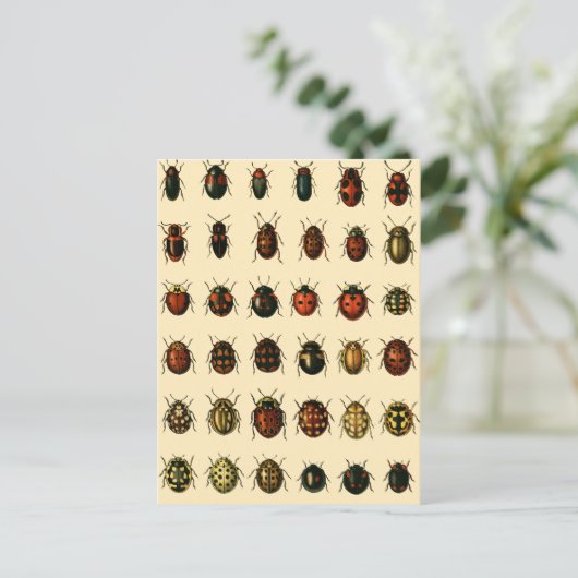 Array of Ladybirds Briefkaart (Staand voorkant)