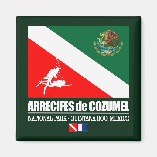 Arrecifes de Cozumel (sq) Magneet (Voorkant)
