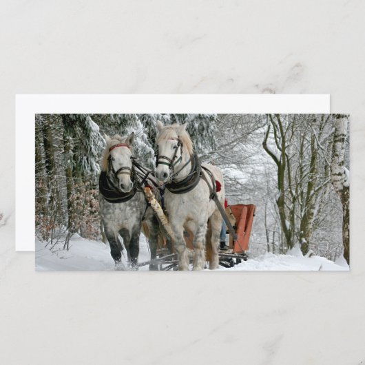 Arrenslee in Winter Wonderland (Voorkant / Achterkant)