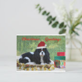 Arrogante Kerstkaart Feestdagenkaart (Staand voorkant)