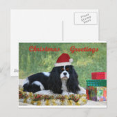 Arrogante Kerstkaart Feestdagenkaart (Voorkant / Achterkant)